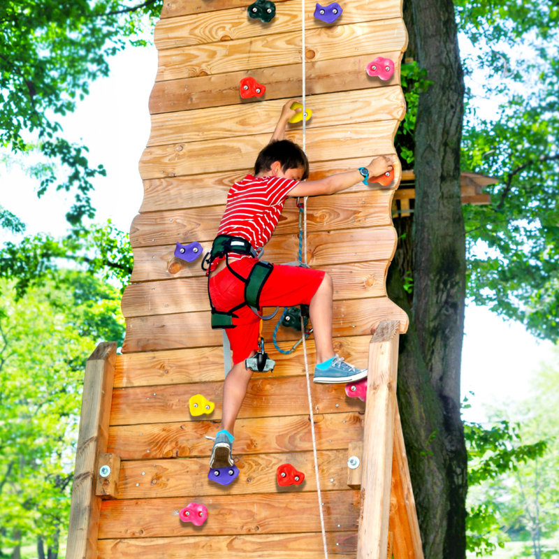 VEVOR PP Copolymer Climbing Rocks