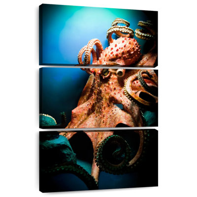 Brampt Powerful Octopus