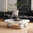 Coffee Table with 3 Ball Legs for Living Room-30111297-30111301-23166342