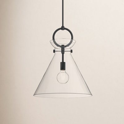 Tiney Single Light Glass Steel Pendant