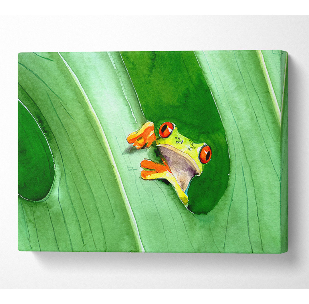 Frosch - Kunstdrucke auf Leinwand - Wrapped Canvas