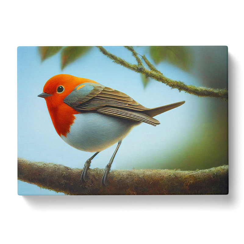 Wonderful Robin Bird - Wrapped Canvas