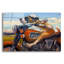 «Fast And Furriest» par CR Townsend, art mural en verre acrylique