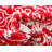 Oriental Indoor Rug-302176820