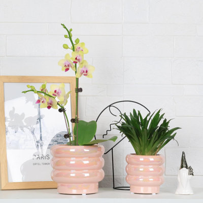 Ensemble de 2 pots à plantes en céramique rose