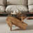 Lexghi Glass Top Single Coffee Table-1957090531-2057980736