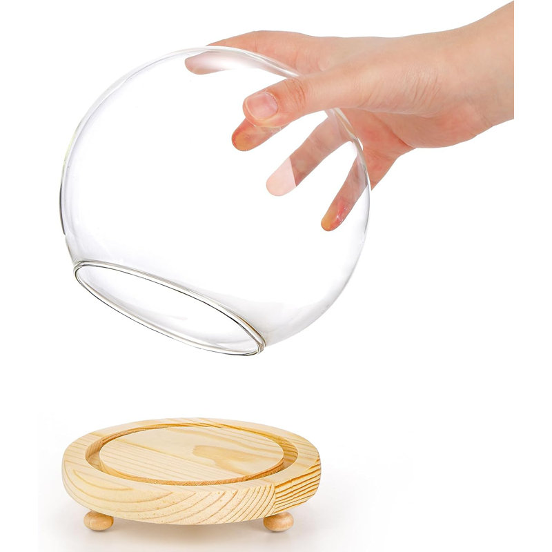 2 Pack Clear Glass Dome Cloche, 6 Inch Decorative Display Bell Jar With Wooden Base, DIY Snow Globes Case Keepsake Showcase For Flower