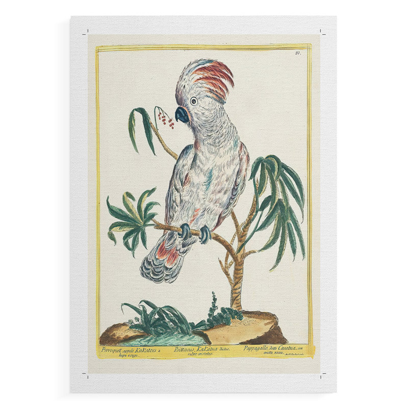 Pastel Birds II - reproduction de toile seulement - non encadrée, H 27 po x l 18 po