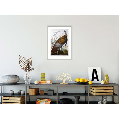 «Wild Turquie mâle» par John James Audubon, impression giclée encadrée