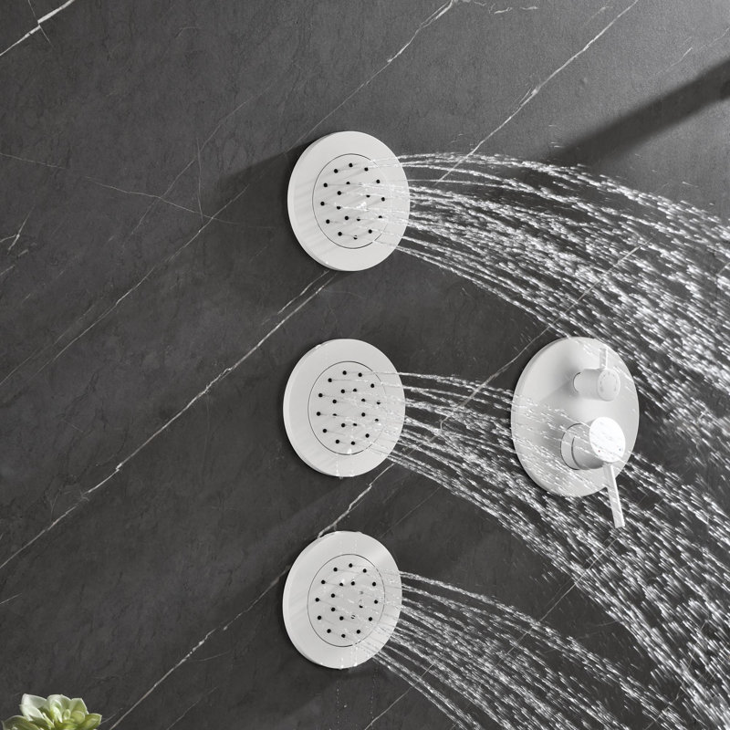 Système de douche complet avec jets de corps