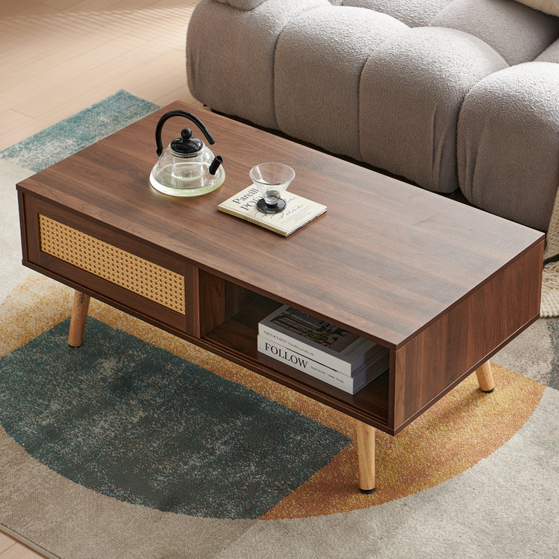 Table basse en rotin PE, porte coulissante pour le rangement, pieds en bois massif, table moderne pour le salon, couleur noyer
