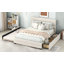 Grand lit plateforme tapissier avec lit gigogne simple et deux tiroirs