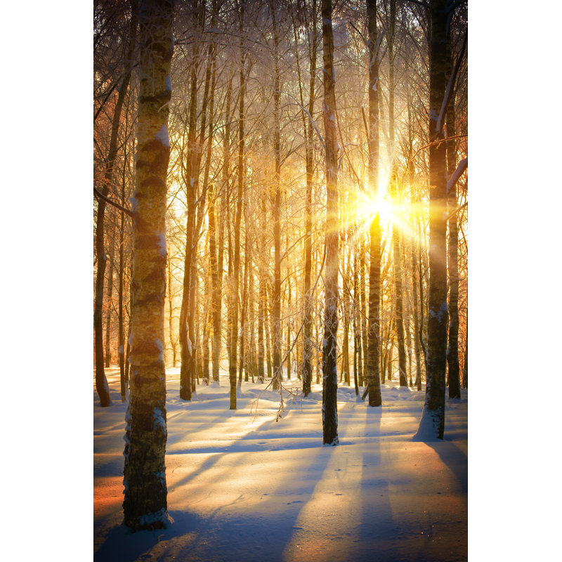 Winter Landscape 1 Piece Wrapped Canvas Wall Art, 46cm H x 30cm W x 3.8cm D