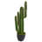 30'' Faux Cactus Succulent in Pot