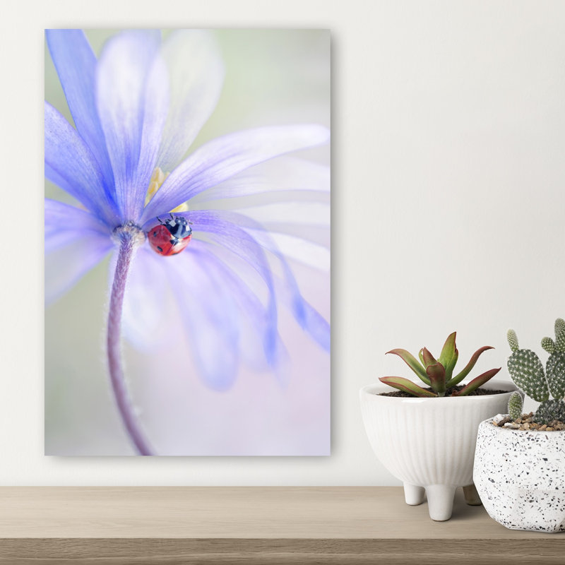 Dreamy Ladybug Flower Colorful Delicate Dreamy Ladybug Flower Nature Wall Art Print 1 Piece Wrapped Canvas Wall Art