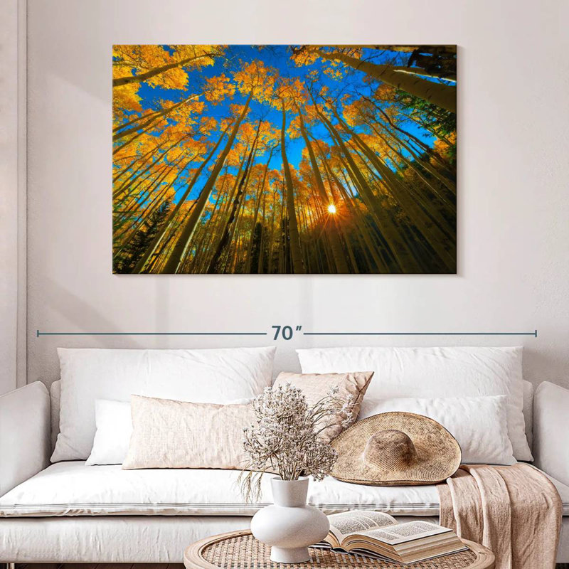 Alvord Birch Forest Sunburst, H 32 po x l 48 po