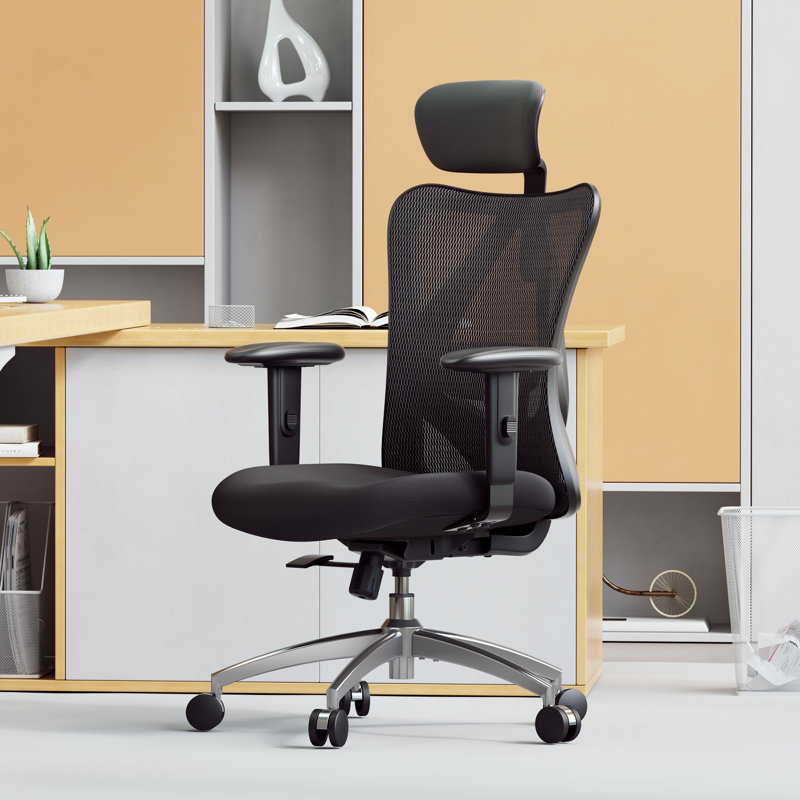 Rebrilliant Office Chair