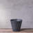 Carreras Planter-511374859-511374855