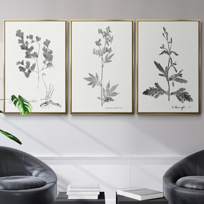 Botanical Imprint I 3 pièces