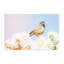 «Desert Song Bird Canvas» par Nathan Larson-332674464