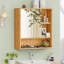 Narlock Medicine Cabinet