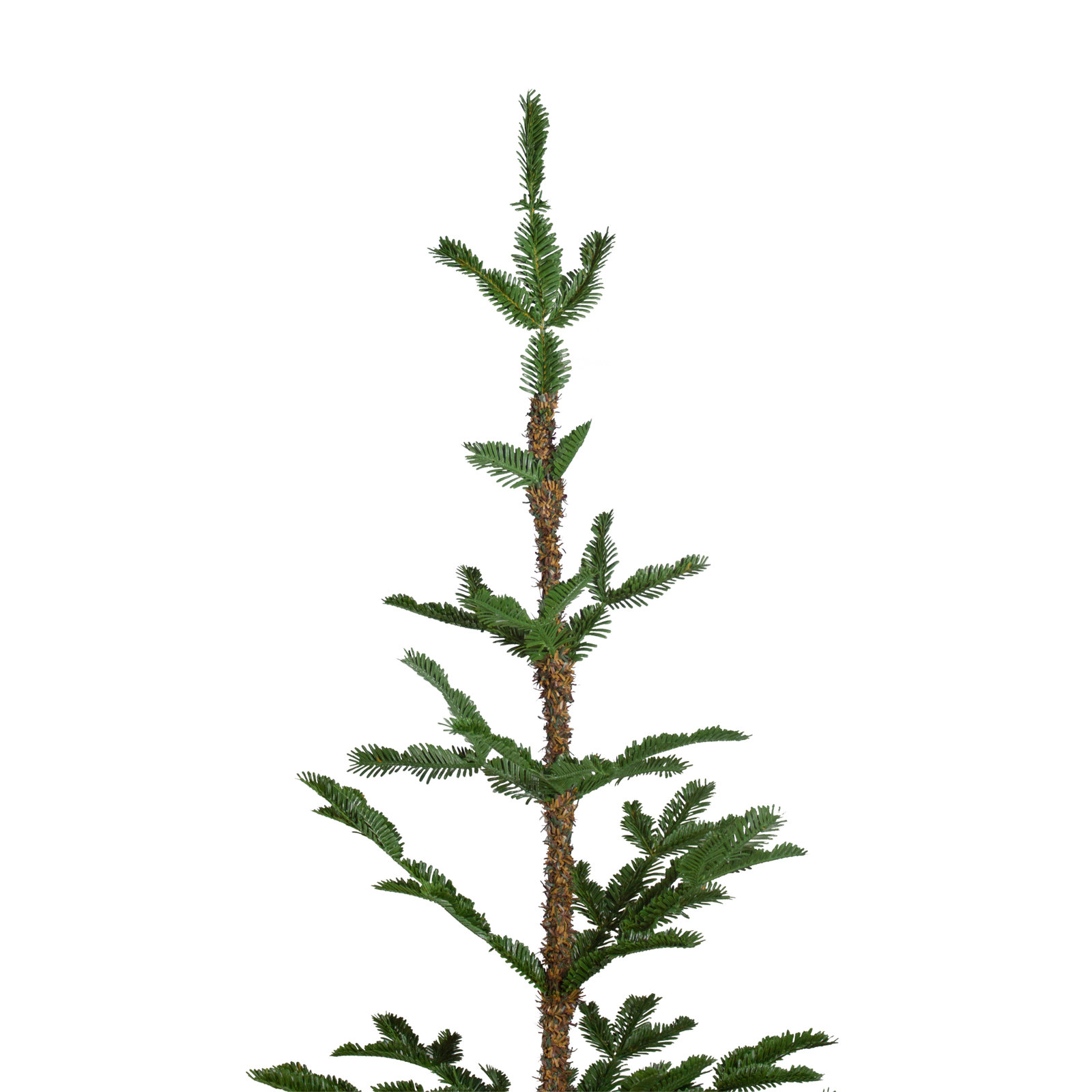 Ponderosa Pine Christmas Tree, 5' H
