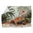 Plain Weave Muslin Machine Printed Throw Blanket-69307538