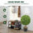 24" Artificial Boxwood Topiary in Pot-132569596