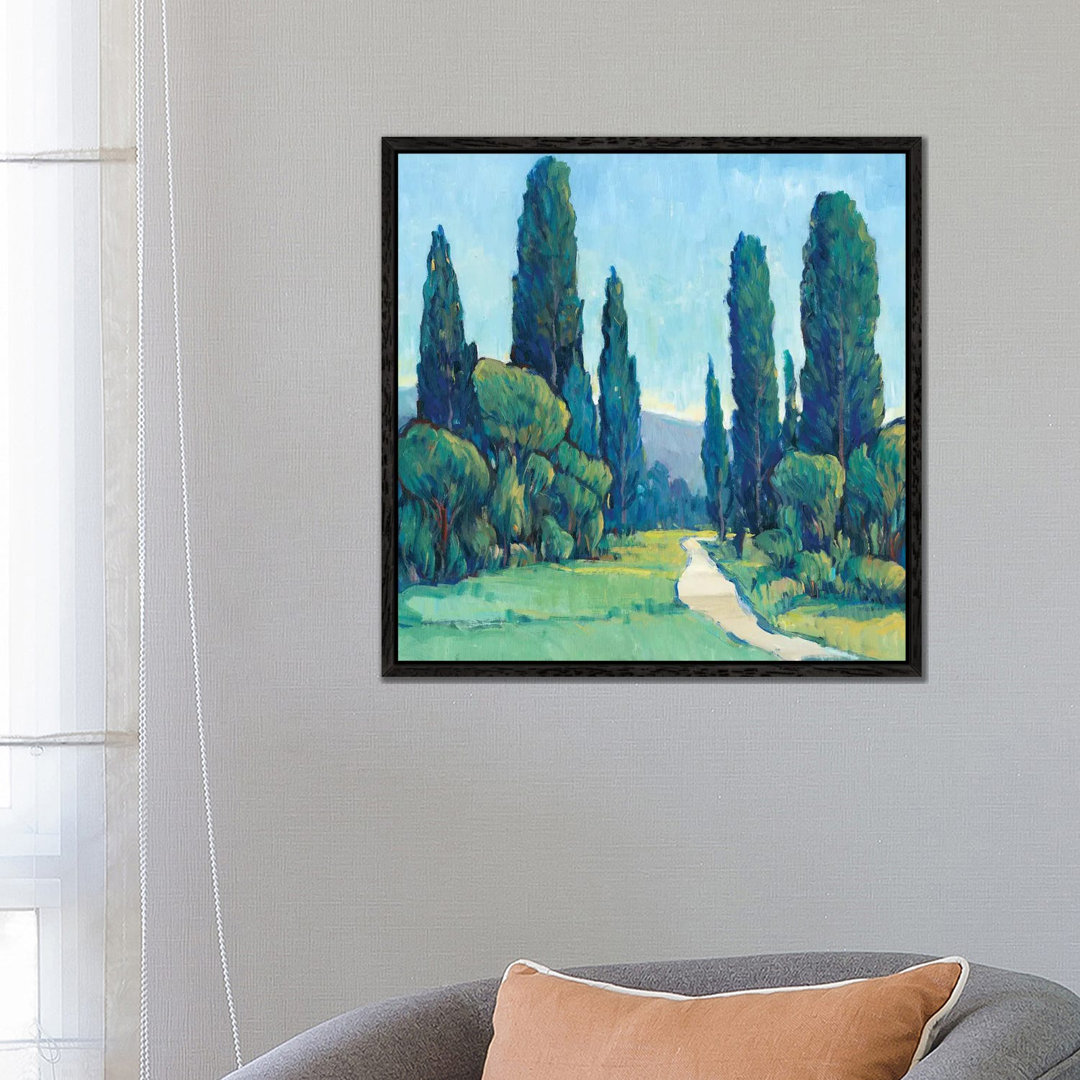 Cypress Path II von Tim OToole - Galerieverpackte Leinwand Giclée auf Leinwand