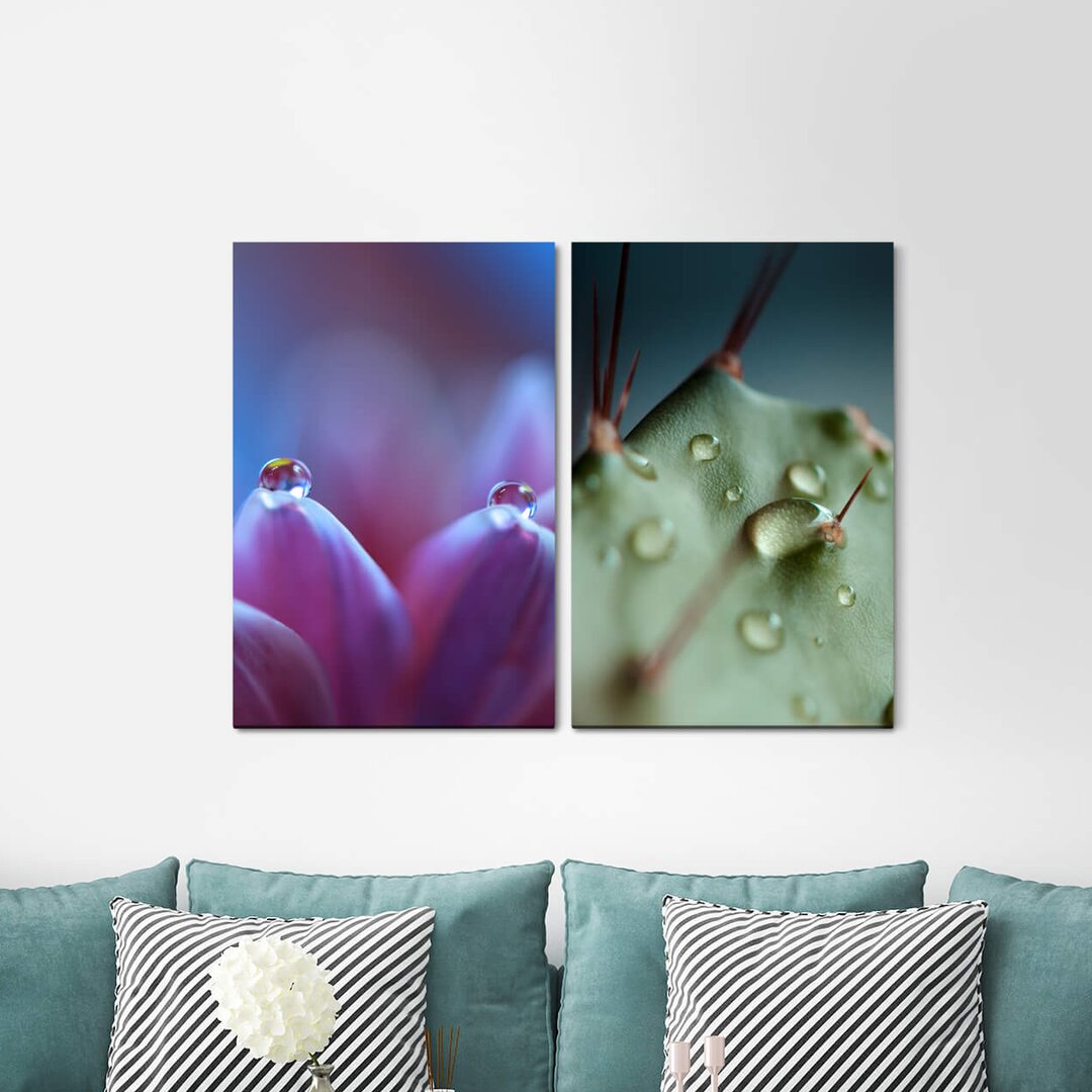 2-tlg. Leinwandbilder-Set Water Pearls Flower Cactus Green Sting Raindrop