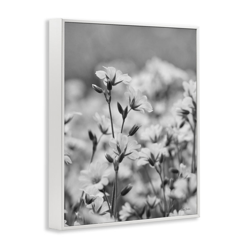 «Budding Meadow Flora», art de la giclée encadrée par Lori Deiter, Blanc, H 30 po x l 24 po