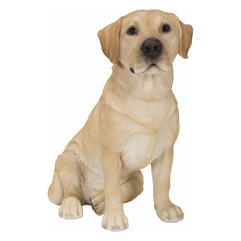  Statue chien retriever du Labrador jaune 9 po H