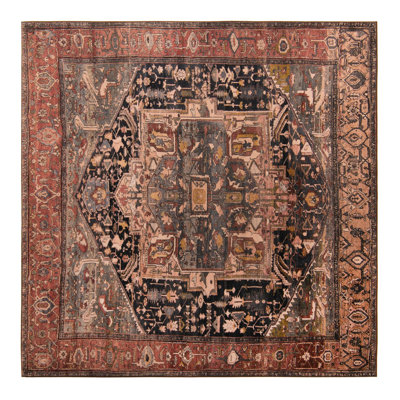 Oriental Indoor Rug