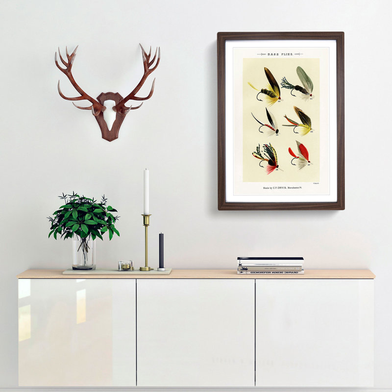Bass Fishing Flies Versions 5 by Mary Orvis Marbury - Picture Frame Painting Print, Walnut Framed, 36cm H x 27cm W x 2cm D