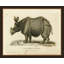 Oversized Antique Rhino Framed Print
