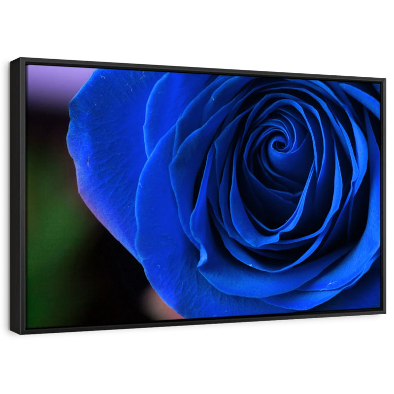 Floral et botanique «Blue Rose Shrub Wall Art», H 9 po x l 13 po