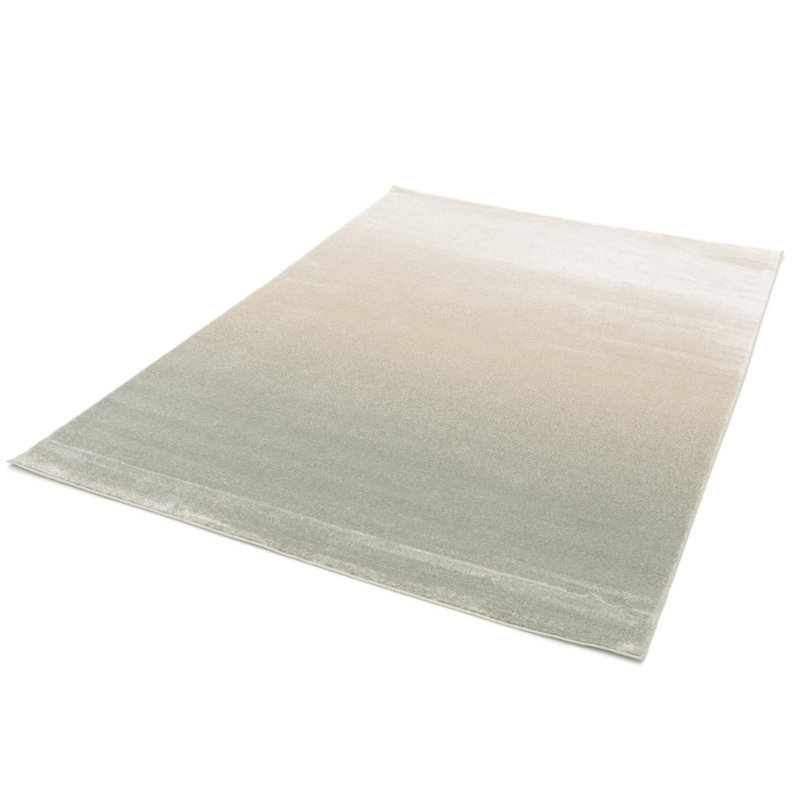 Anyhia Ombre Area Rug, Rectangle 200 x 290cm