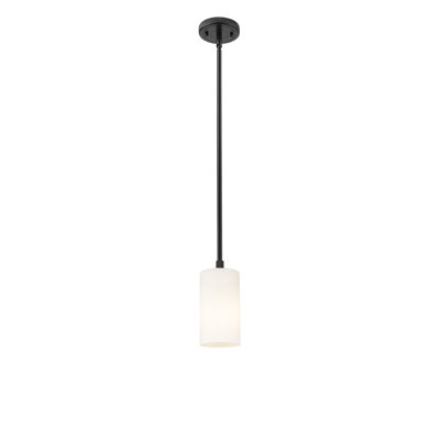 Luminaire suspendu 1 tige Crown Point