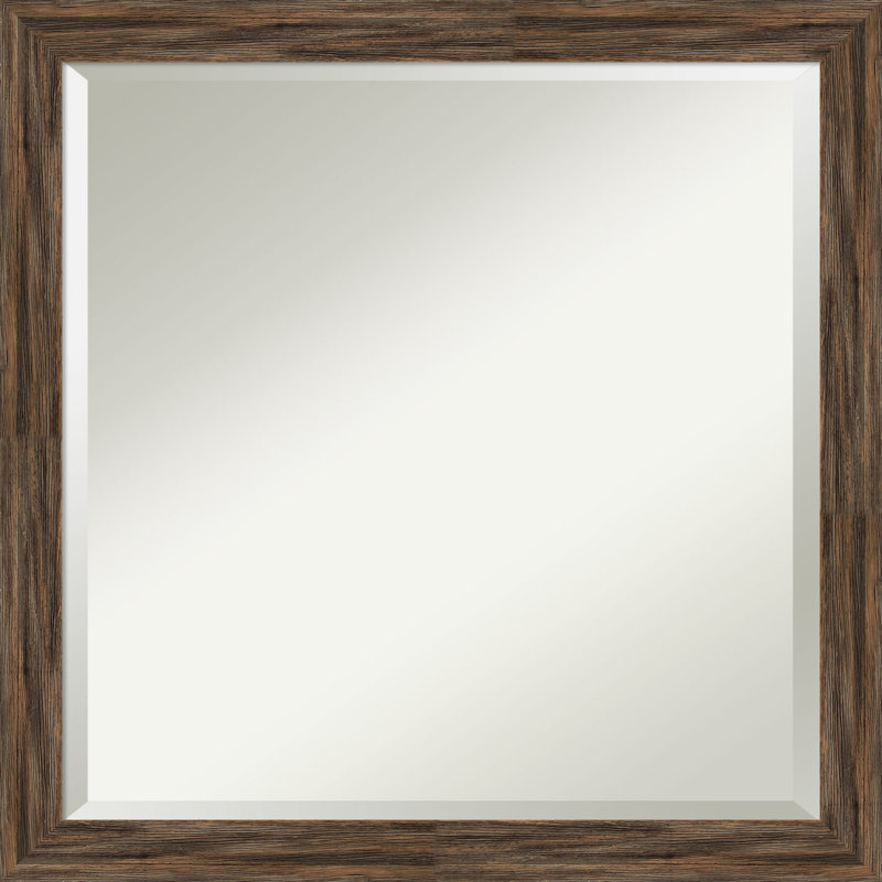 Miroir de salle de bain Dunaghy, 22,62 po x 22,62 po