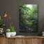 «Misty Rainforest Creek» par Nicklas Gustafsson-522000853