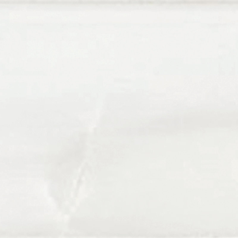 Carreau de sol en marbre poli 4 po x 12 po Bianco Dolomite