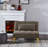 Terresia Upholstered Accent Chair with Ottoman-1524082444
