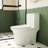 15.55 In Comfort Height Toilet, Ceramic, 1.1/1.6 Flushing, White, Soft Close Seat, And Height, & One