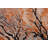 Dortly One-of-a-Kind 6' X 8'9" Wool Area Rug