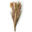 15Pcs Dried Flower Bunch Reed Rabbit Tail Grass Bouquet Home Decor