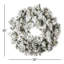 Winfield 30'' Faux Pine Lighted Wreath