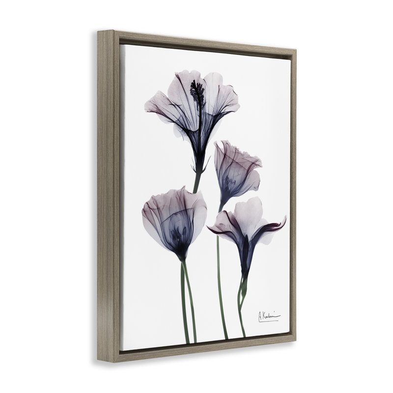 Cadre flottant à fleurs crépusantes, par Albert Koetsier, H 31 po x l 25 po, Cadre flottant orme Montalcino