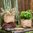 Dekou Handmade Pot Planter-1917578890