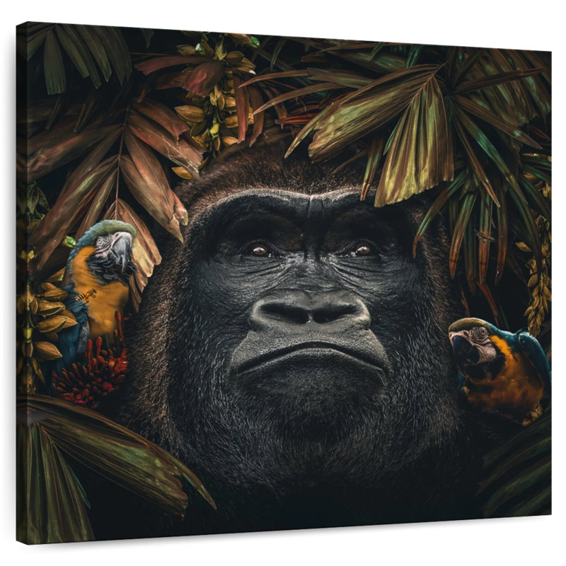 Brampt Gorilla II, 36" H x 36" W