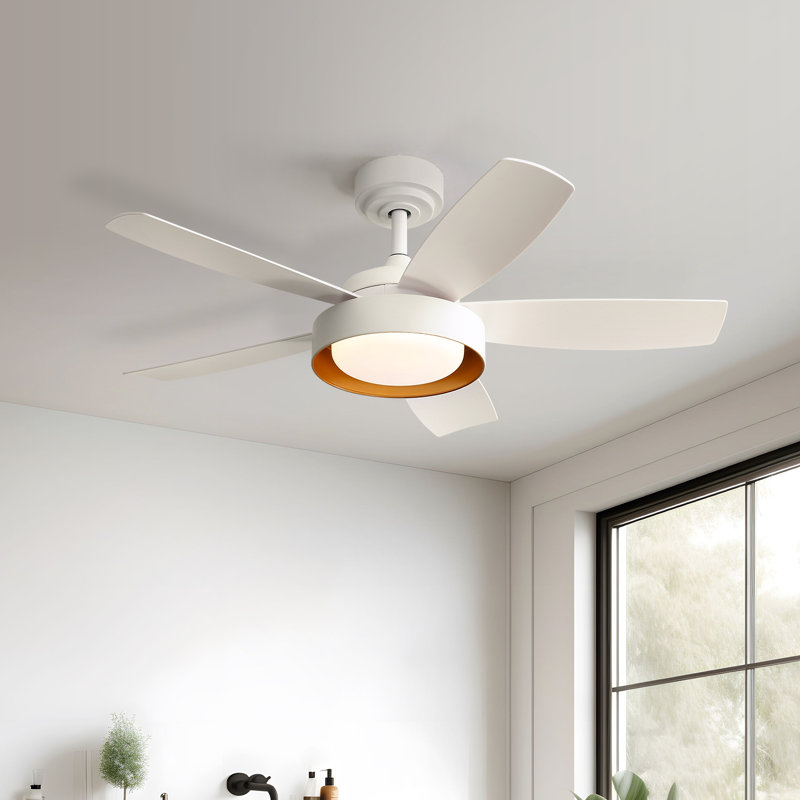 107CM Ceiling Fan with Remote Control and LED Lights